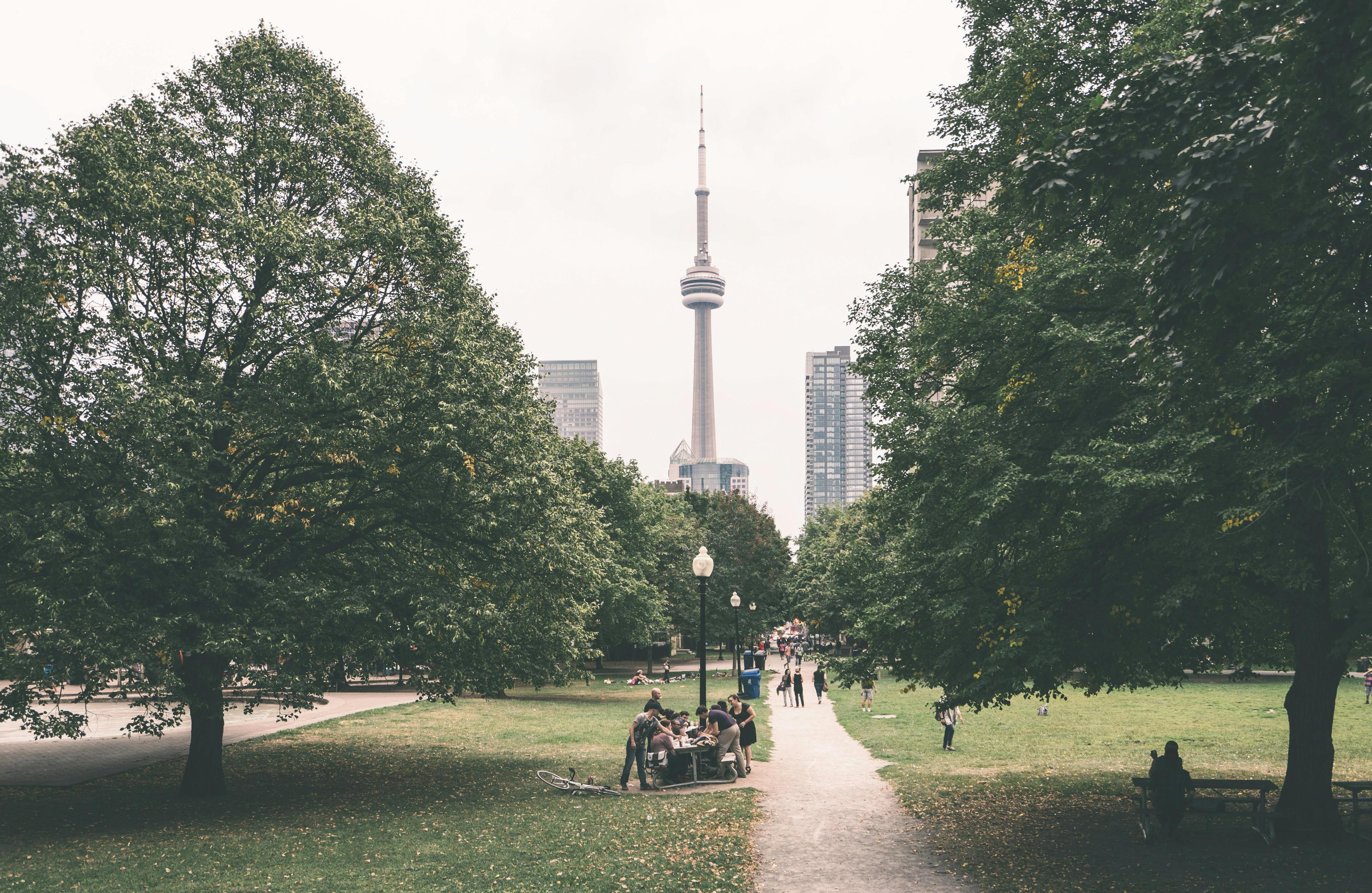 How to Fill Out the T2 Application: Ontario Tenant's Guide to Harassment, Illegal Entry, and Tenant Rights Claims